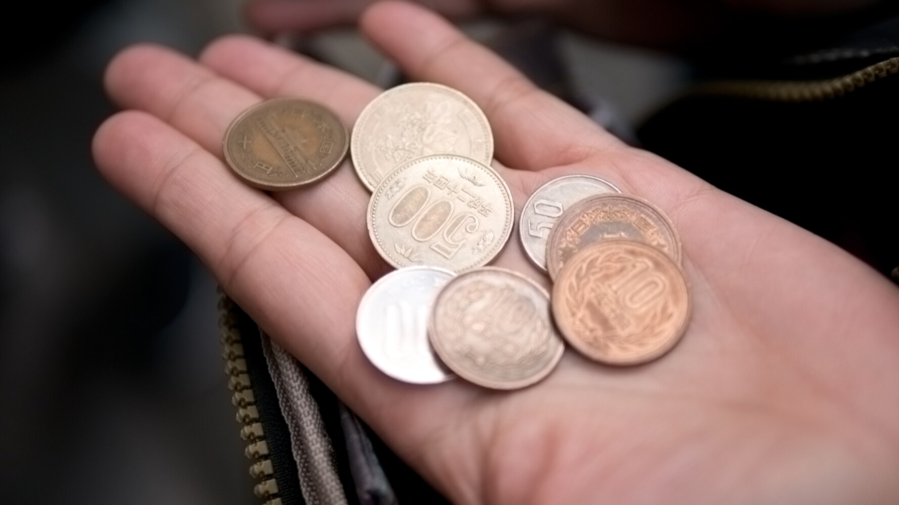 容量|1人用は100円程度、2~3人用は400円前後、大人数は700円以上が目安