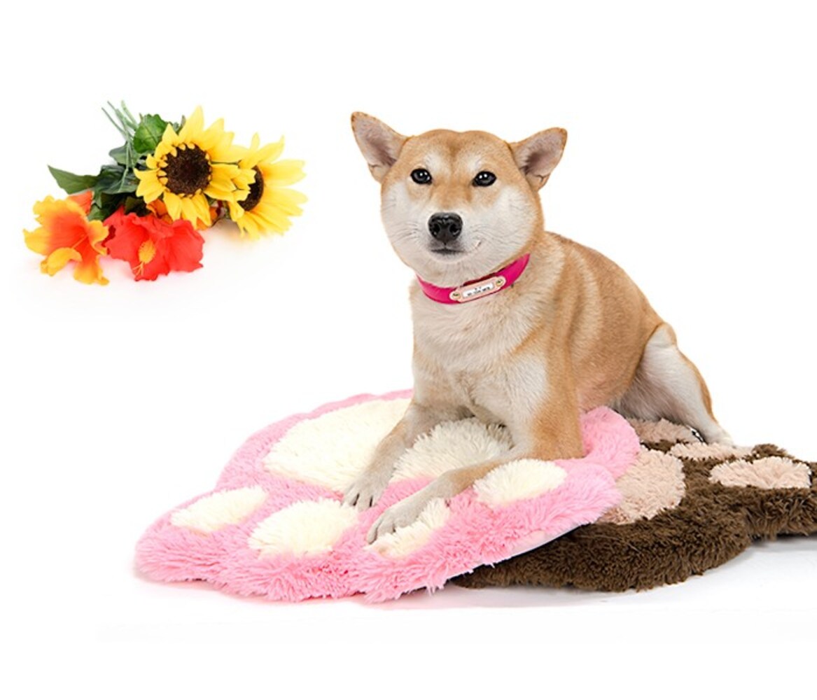 首輪と一体型|犬が邪魔に感じず、外れる心配がない