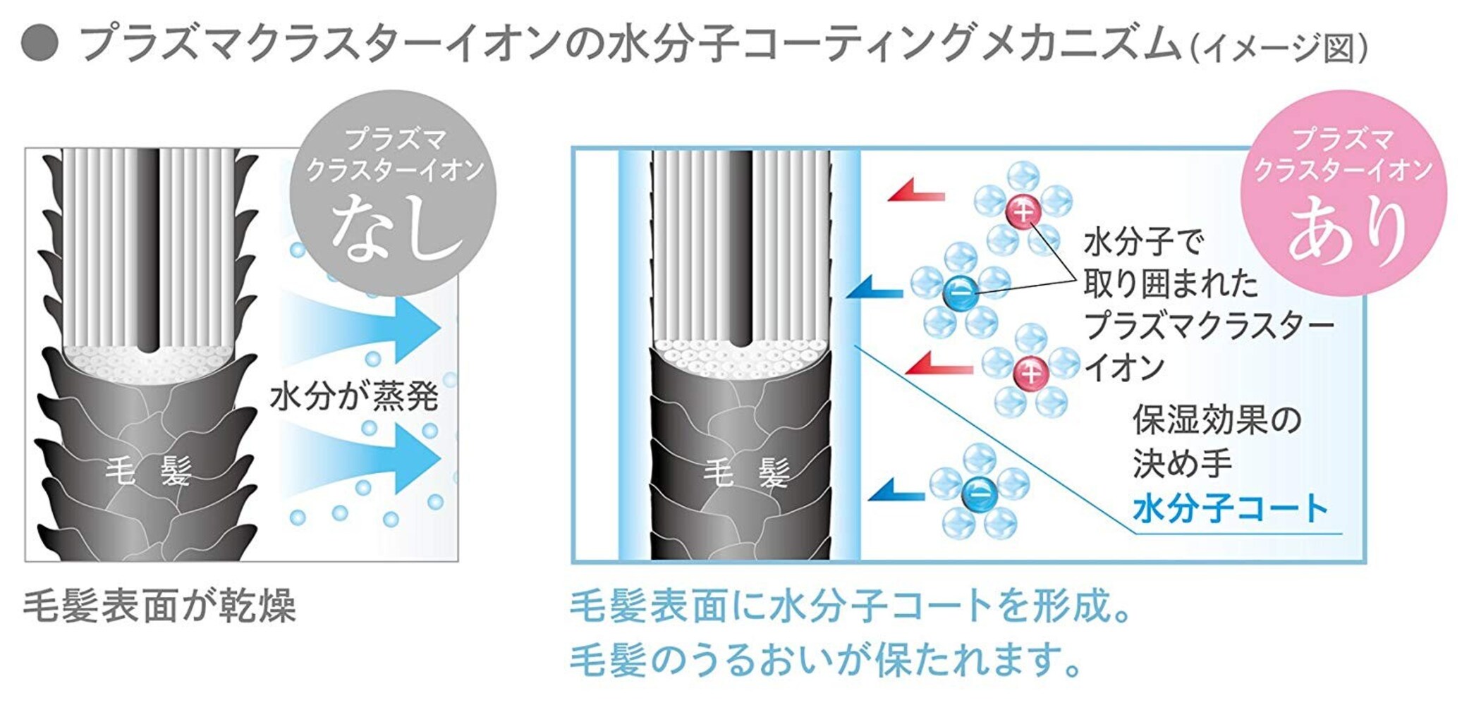 静電気抑制と保湿でキューティクルをケア静電気抑制と保湿でキューティクルをケア