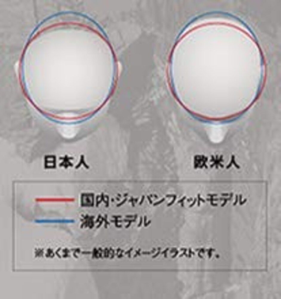 ▼日本人の頭には日本メーカーがおすすめ?
