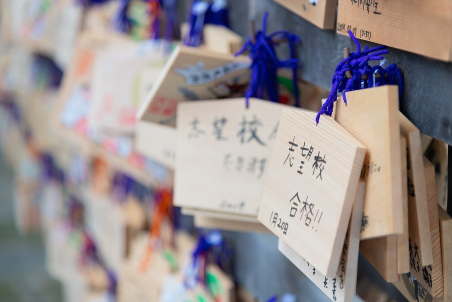 大学受験向けで選ぶポイントは?