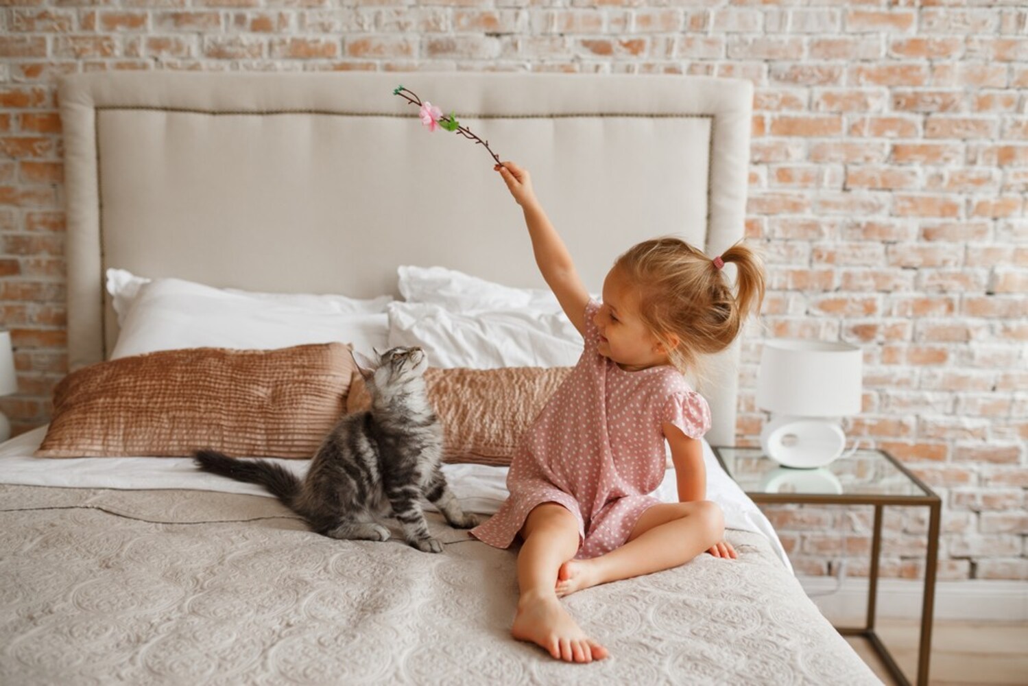 飼い主さんと子猫のコミュニケーションを増やす