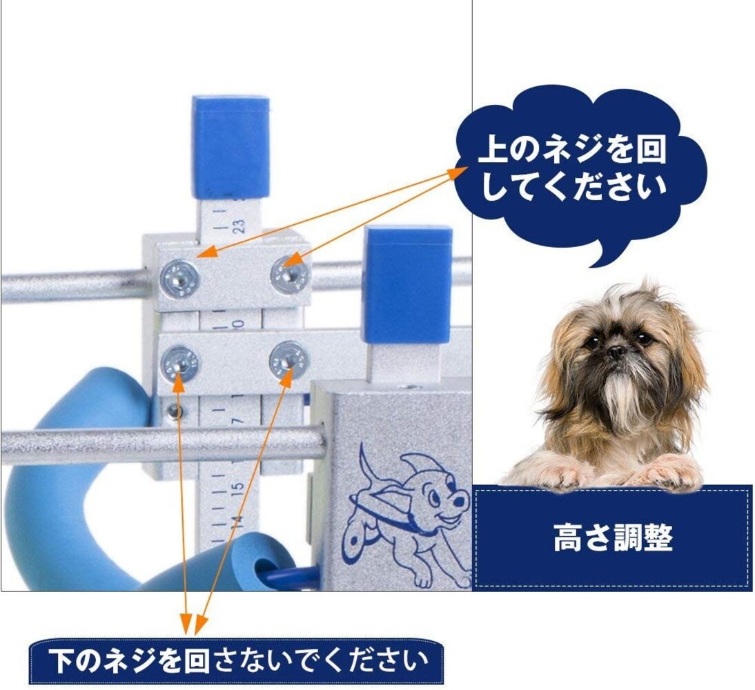サイズ|調節可能なものなら長期間使用可能