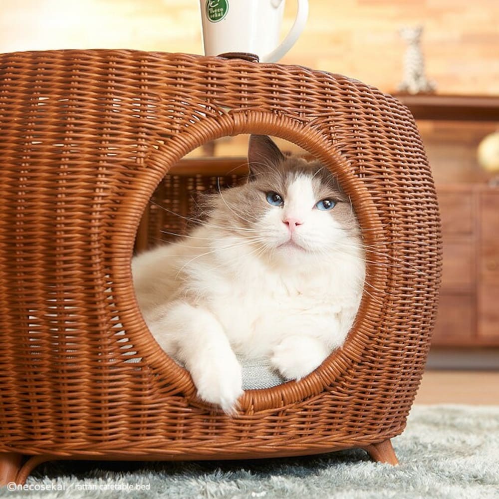 おしゃれな猫用ハウス ベッドおすすめ18選 夏 冬と季節に合わせて 窓用 ドーム型の特徴も解説 Best One ベストワン