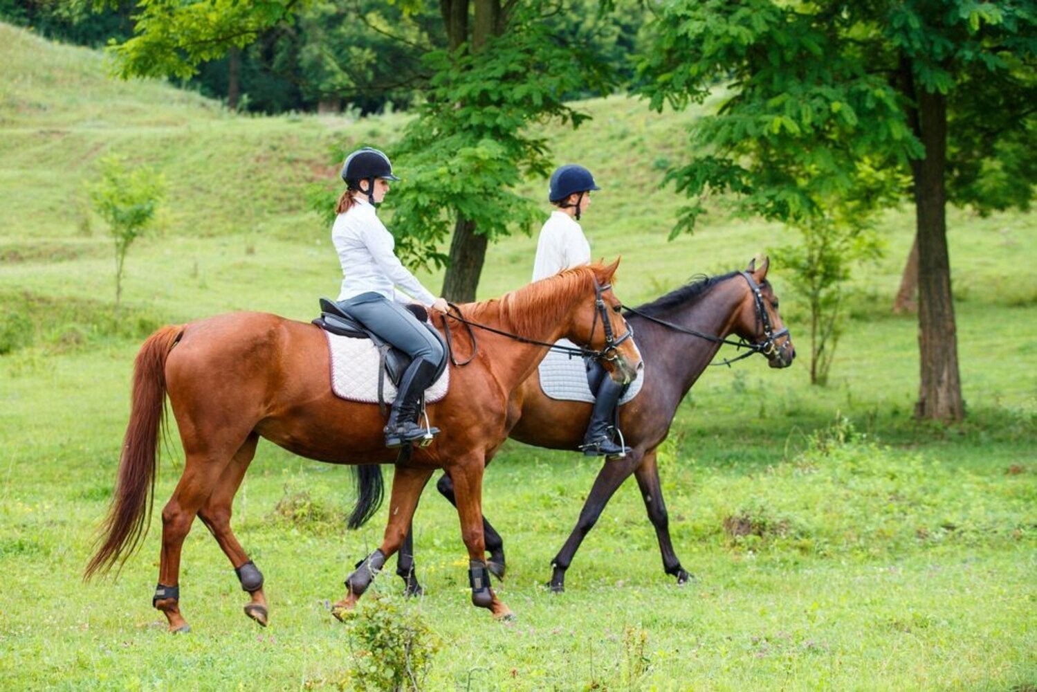 2人で楽しめる・テーマが決まっているものも!