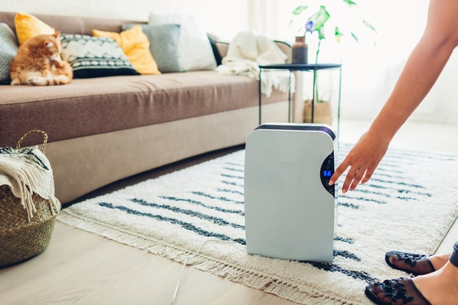 ▼衣類乾燥除湿機|面積をチェック!ただし、木造とコンクリートで2倍の差がある