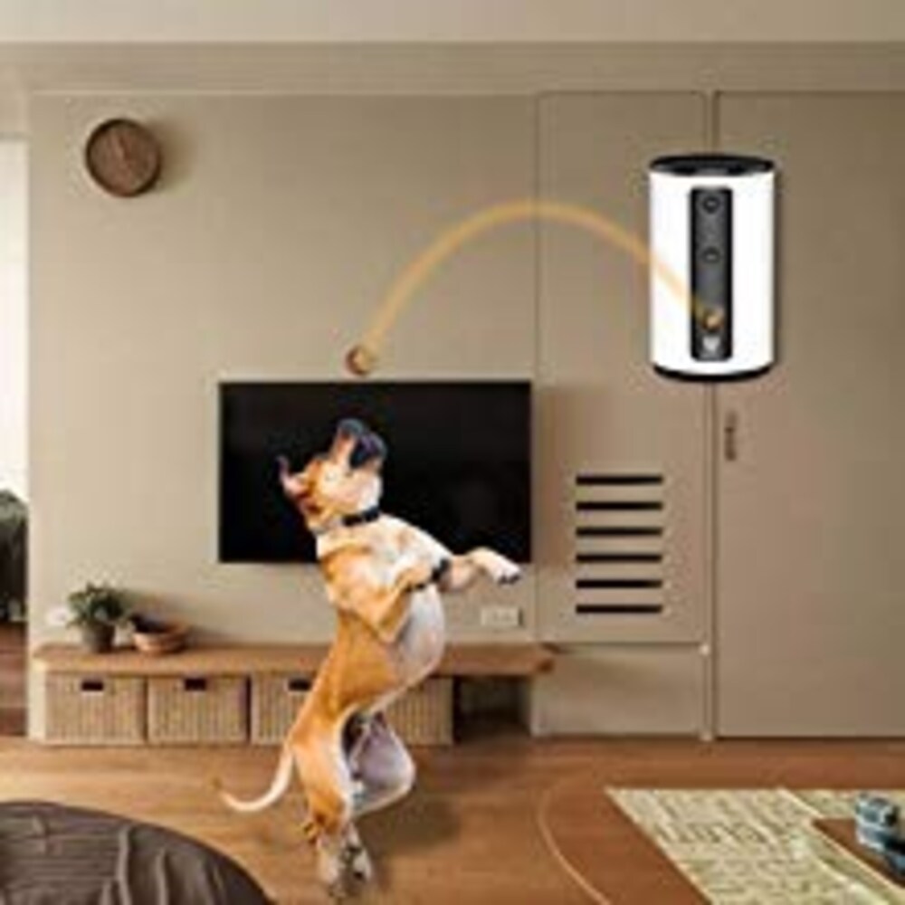 その他機能|おやつをあげられたり、高画質録画ができるタイプも!