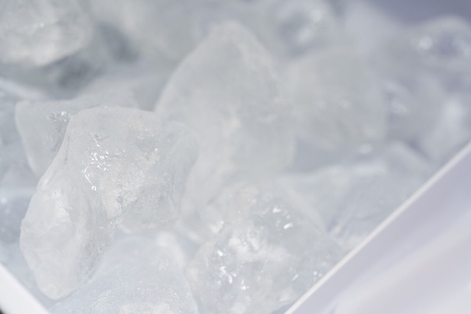 2、製氷数・氷のタイプ