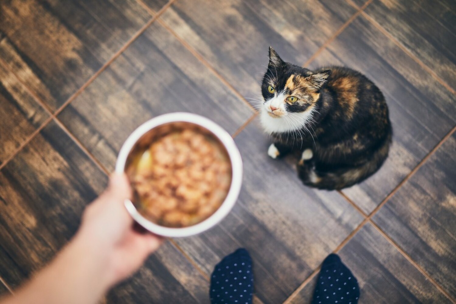 ▼食事は取り付けるタイプの食器なども活用を