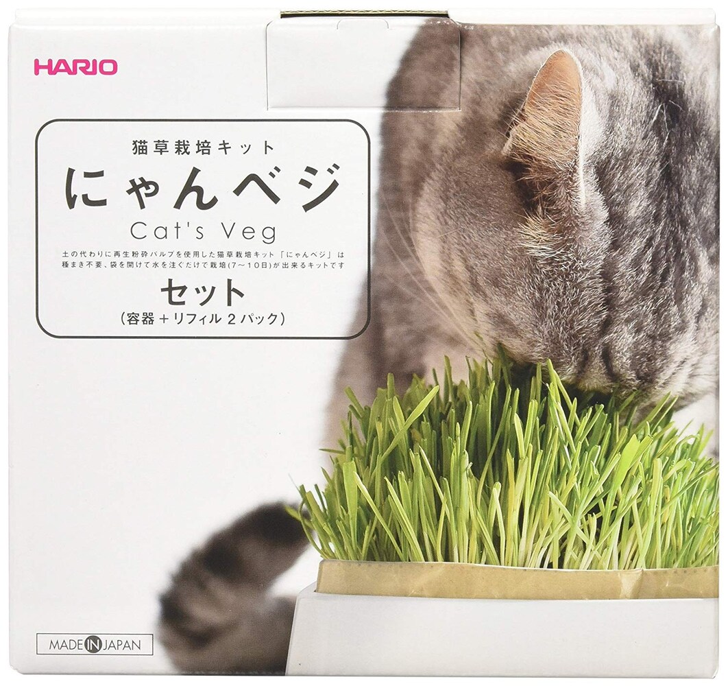タイプ|育ったもの(グラスタイプ)・栽培キット・種、どれを選べばいい?