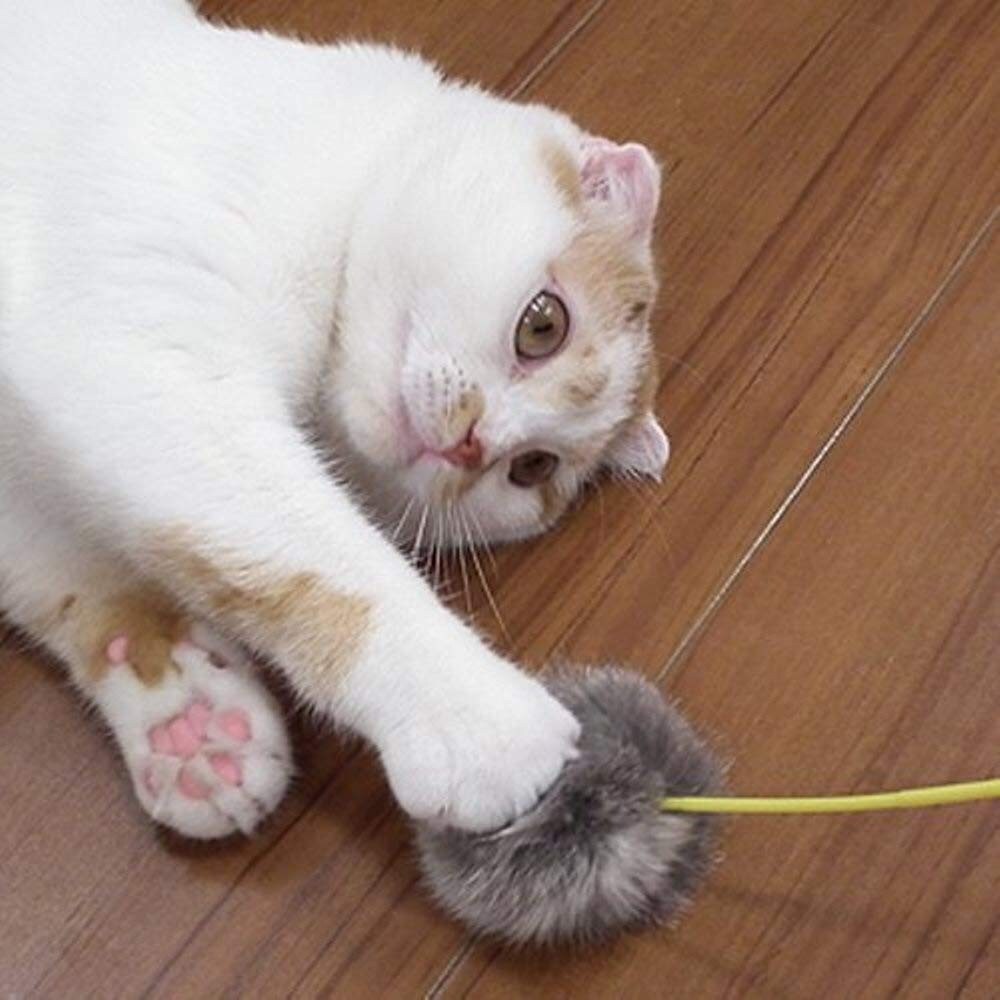 【猫じゃらしの使い方】野生動物のように動かして遊ぶのがおすすめ