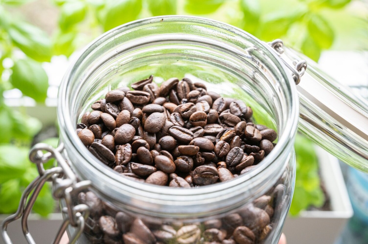 オーガニックコーヒーを正しく保存し鮮度をキープ