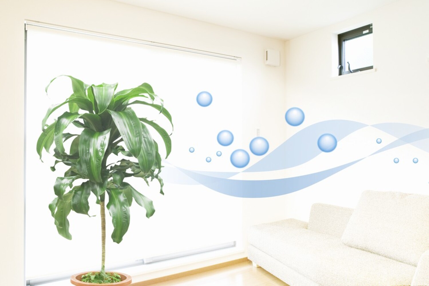空気清浄|植物の力で空気をきれいに