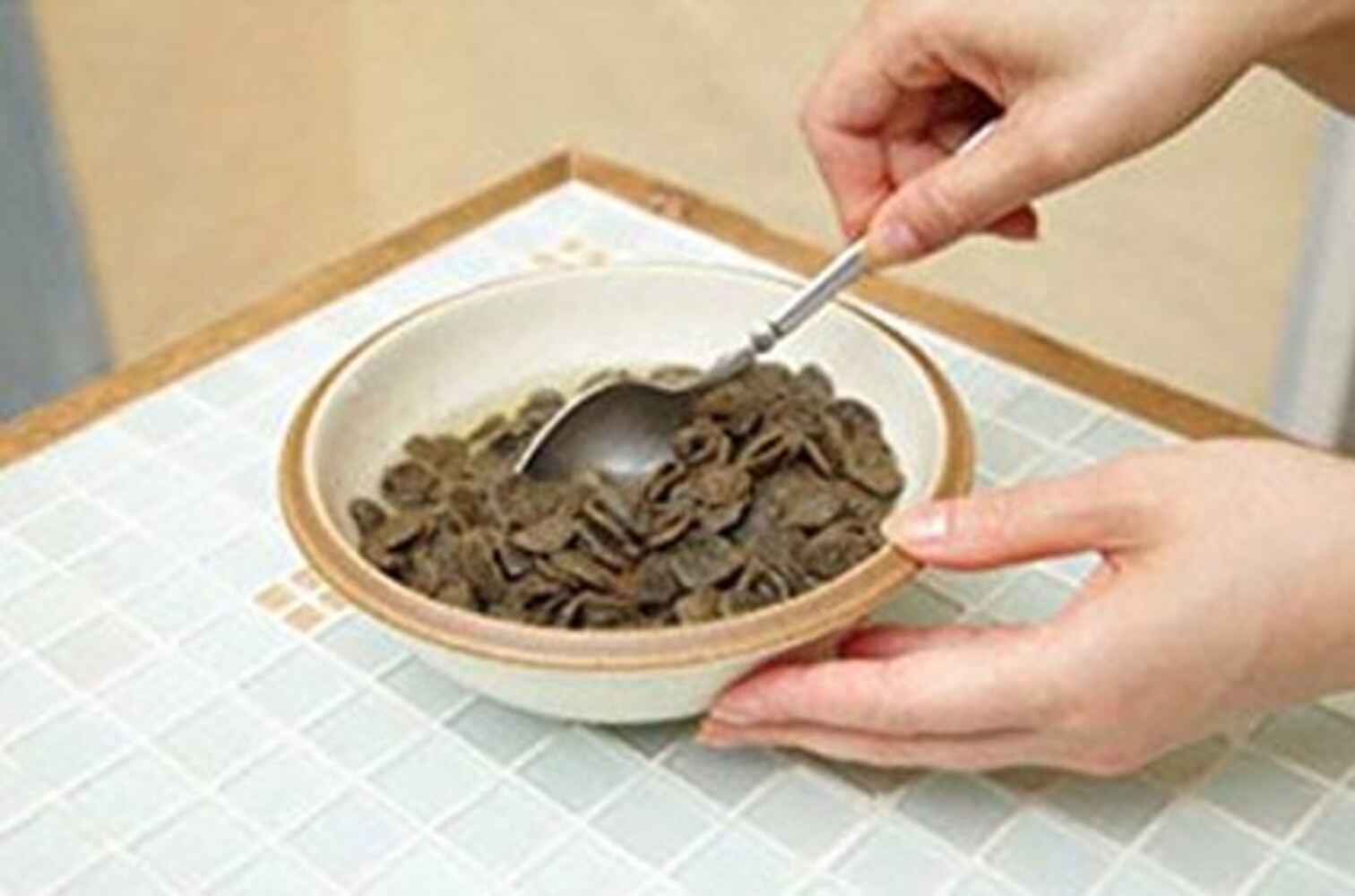 セミモイストタイプのキャットフード