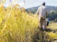 「公務員と水稲農業、そして株式投資で」稼いだ金融資産1億8500万円・65歳男性の老後資金