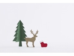 クリスマス、真っ赤なお鼻のトナカイの感動秘話！