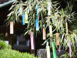 七夕とはどんな行事？たなばたの由来・起源や意味、「七夕伝説」を解説