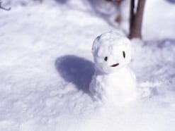 雪の名前と異称、冬の風情を楽しむ雪の表現・名称と意味100選