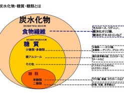 炭水化物・糖質・糖類の違いとは…甘味料の基本