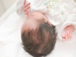 心太、初花、海月、逸生……などの名前は別の意味を連想させる？