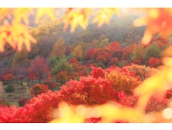 【時候の挨拶】10月上旬・中旬・下旬の季節の挨拶と結び文、ビジネスやカジュアルに対応