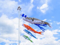 2022年GW目前。10連休前にやっておくべきお金のこと