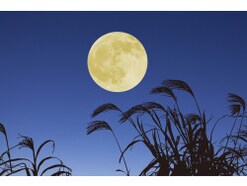 【時候の挨拶】9月上旬・中旬・下旬の季節の挨拶と結び文、ビジネスやカジュアルに対応