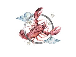 かに座さんの「今週の運勢」！ 章月綾乃の【大人のための星占い】（2025年11月3日～11月9日）