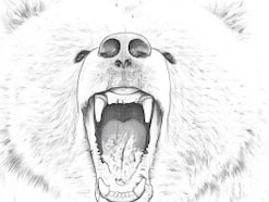 Q. クマに襲われてしまった場合、一般人にできる応急手当はありますか？