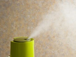 【加湿器の落とし穴】“菌をまき散らす加湿器”になってない？ タイプ別「掃除の正解」