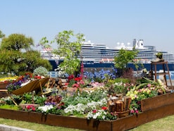 GWの横浜観光、シニアが楽しむなら？ 横浜ガイドが教える、混雑回避のコツとお得な割引スポット