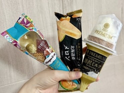 「SNSで大バズり中のハーゲンダッツを食べてみたら…」【コンビニアイス】お高めアイス3品を本音リポ！