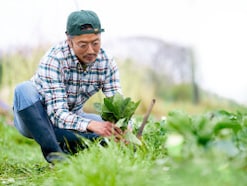  「田舎でも物価は2倍。最近はシニア割の恩恵も減った」預貯金8000万円・74歳男性の年金生活