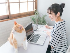 【2026年8月10日~】ゆうちょ銀行が金利引き上げ!定期貯金に20万円、50万円、100万円預けると利息は?