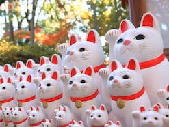 9月18日は「天一天上」など3つの吉日が重なる開運日!「再始動」の日にやるといいことは?