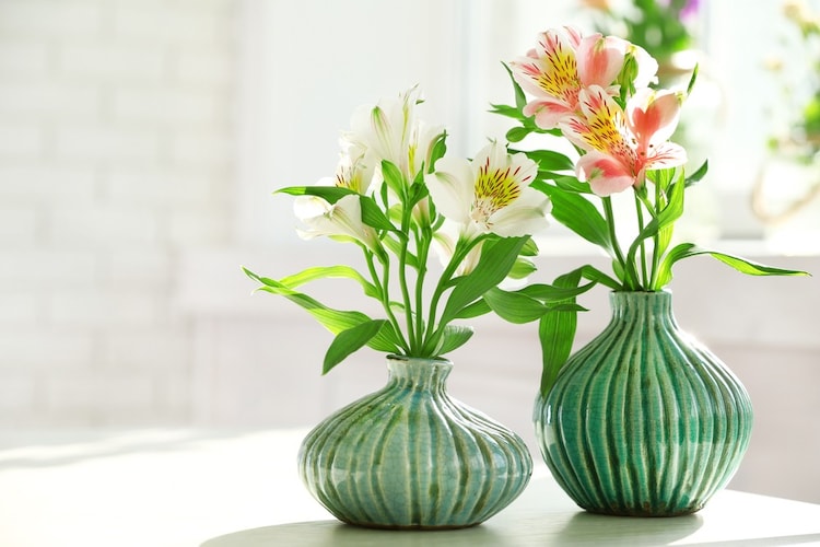 おしゃれな花瓶が花の美しさを引き立てる おすすめ10選 Best One ベストワン