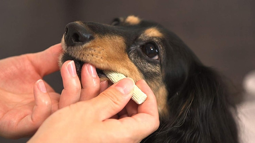 犬用ガムおすすめランキング25選 長持ちするのは 歯磨き用や無添加が人気 Best One ベストワン