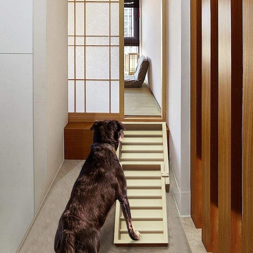 犬用スロープおすすめ商品10選 角度調整できるのは 階段型のステップも紹介 Best One ベストワン