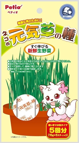 【種タイプ】