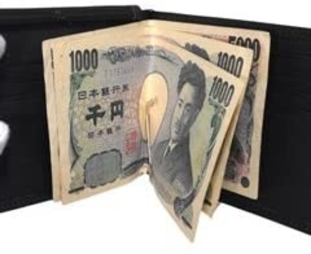 ▼札ばさみ型(2つ折り)|お札を覆えるから折れない