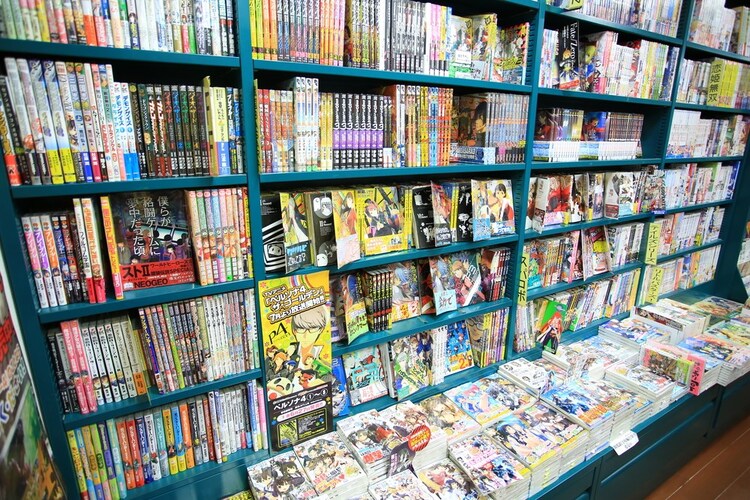 ジャンル|バトル物や恋愛物など、好みによってチェック
