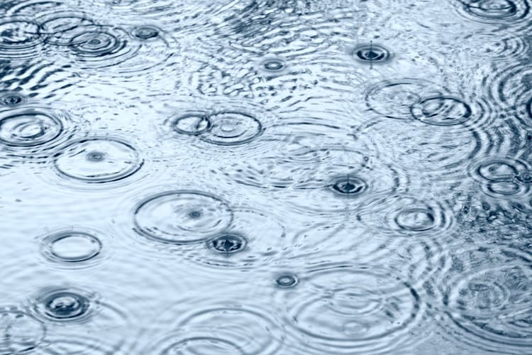 素材｜雨天時にも対応できる防水性のあるものに注目