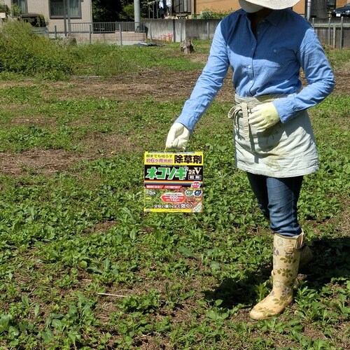 除草剤のQ&A