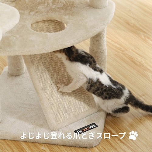形状｜シニア猫や子猫には階段付きがおすすめ