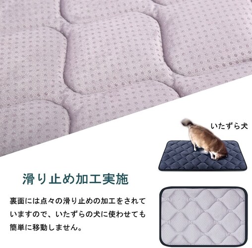 滑り止め|老犬用ベッドを探している方は要チェック!