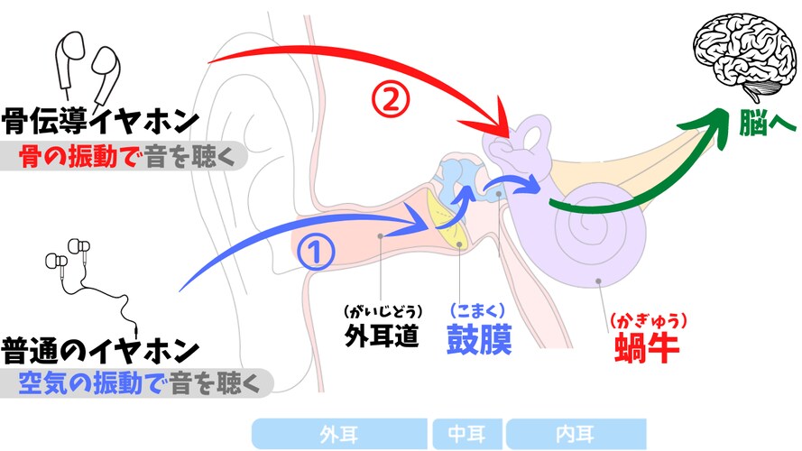 骨伝導イヤホンとは