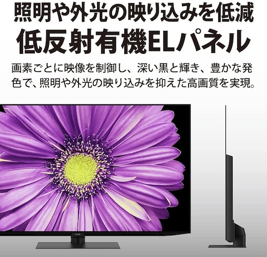 趣味にこだわる方におすすめの「有機ELテレビ」の特徴