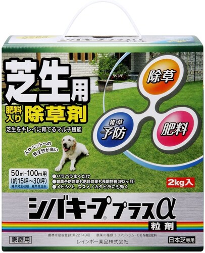 レインボー薬品
