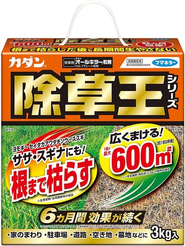 顆粒タイプ