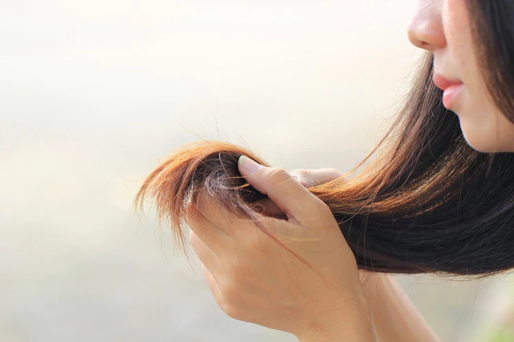 ダメージヘア(パーマやカラーリング)ヘアの方は、イオン機能やアタッチメントをチェック